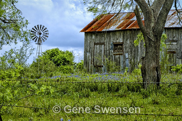 Barn